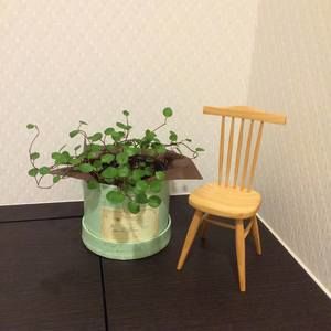 Meet your Posher, Satomi